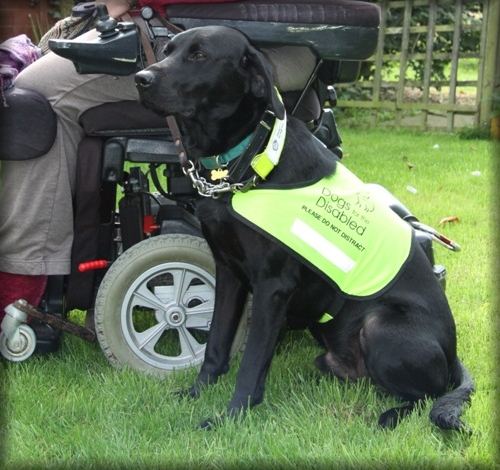 Ardenbrook Hope with partner