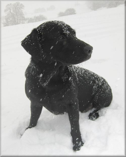 Faith picking up in the snow