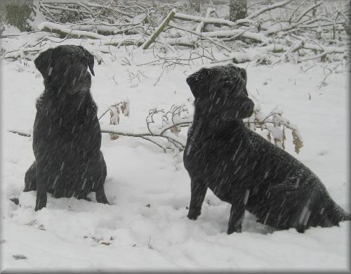 Faith & her mum picking up in the snow