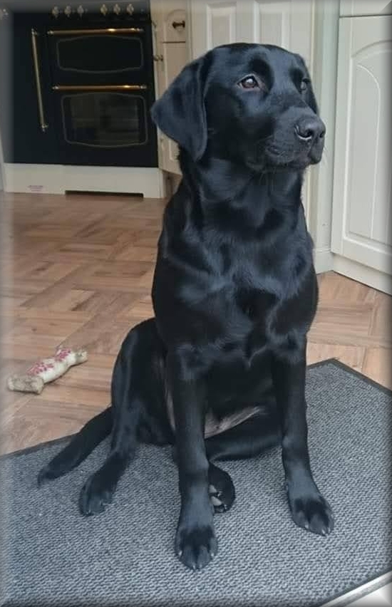 Piper Dene by Ardenbrook