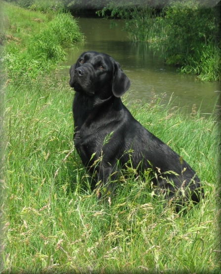 Ardenbrook Summer Sun